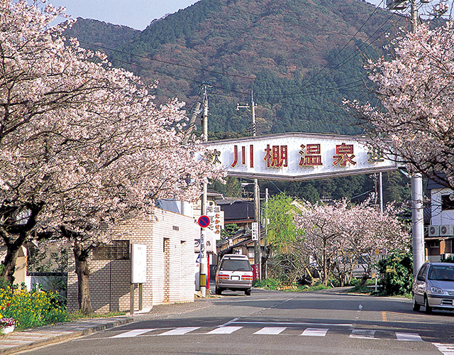 山口县 观光指南 阪九轮渡